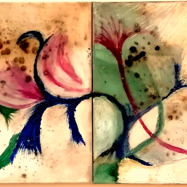 Both Flows and Shows