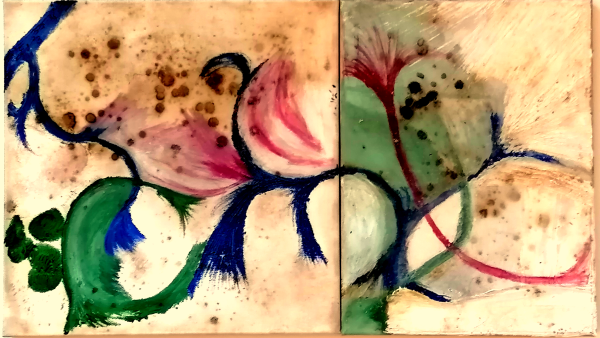 Both Flows and Shows