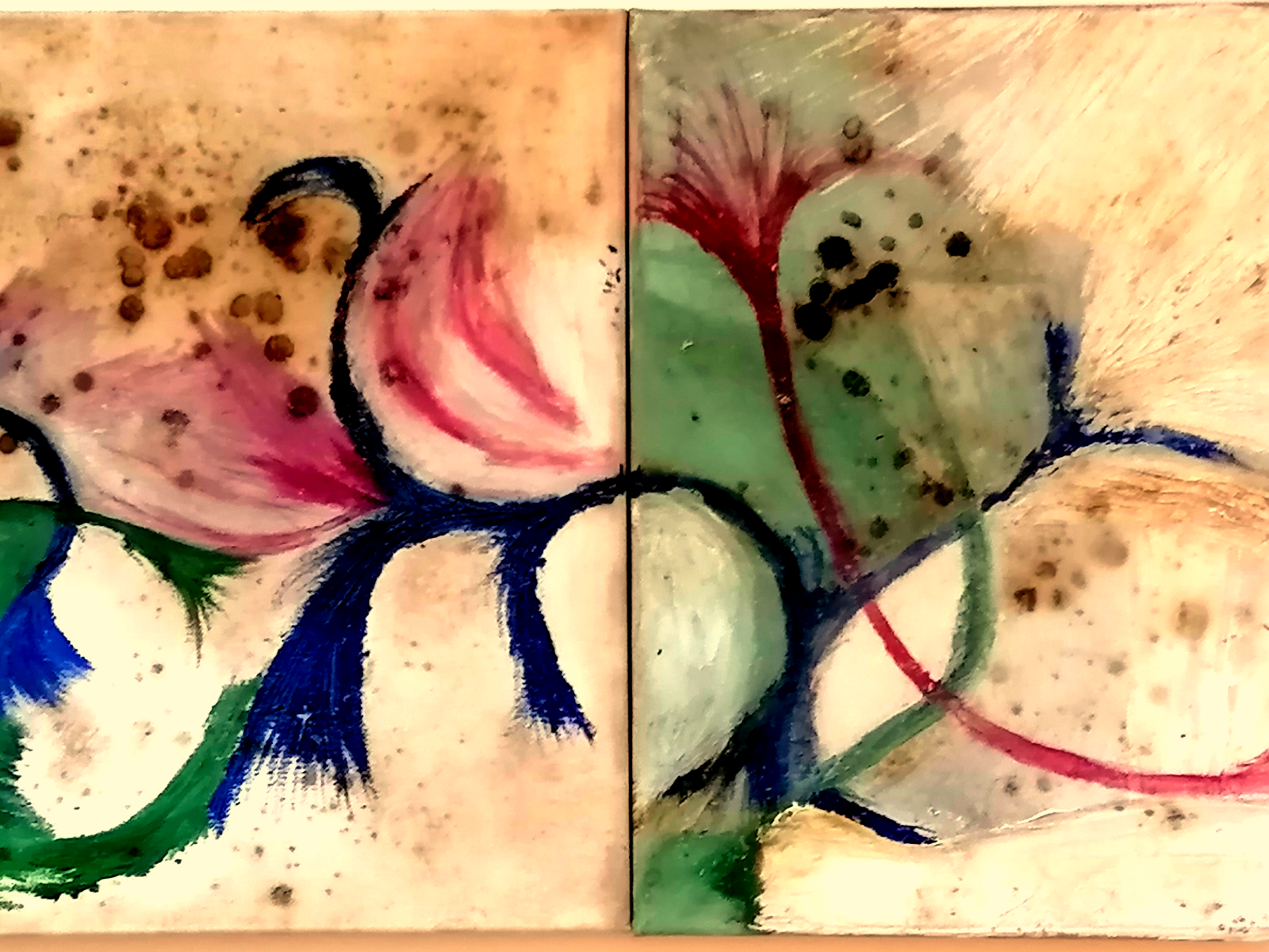 Both Flows and Shows